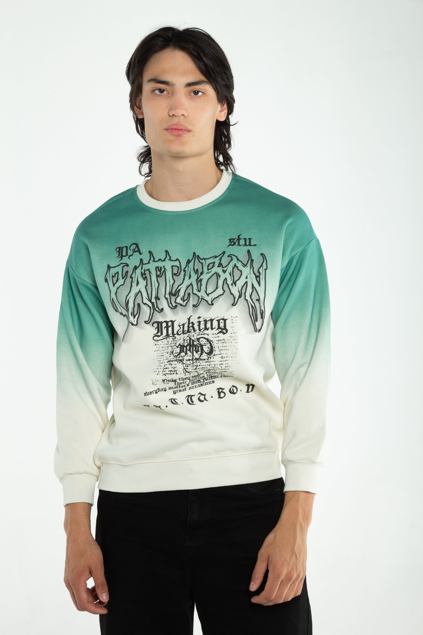 Толстовка мужская Fashion 4011 (принт)